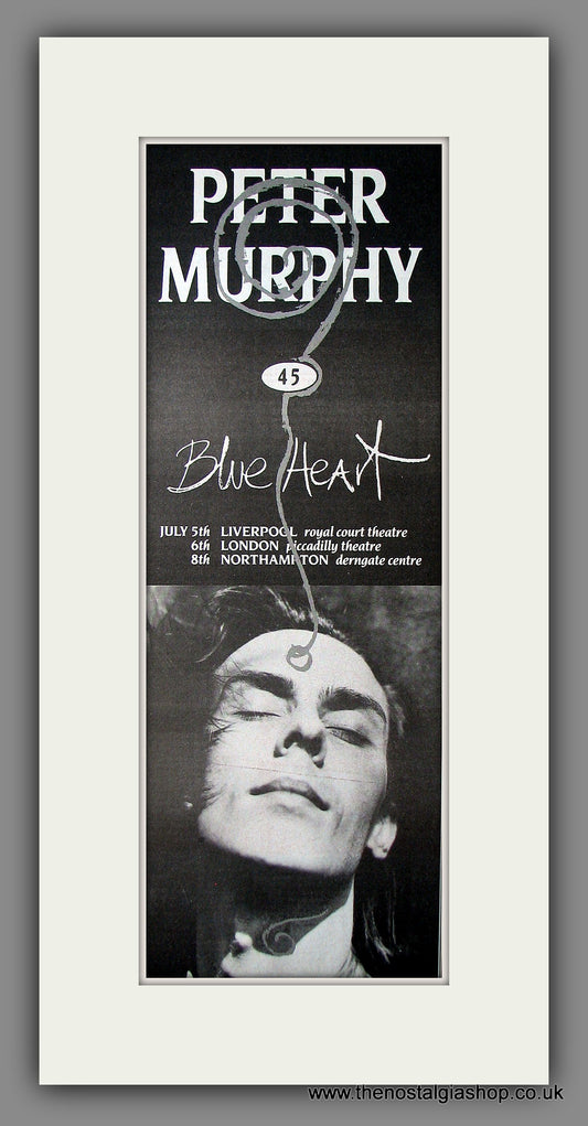 Peter Murphy. Blue Heart. Original Advert 1986 (ref AD200068)