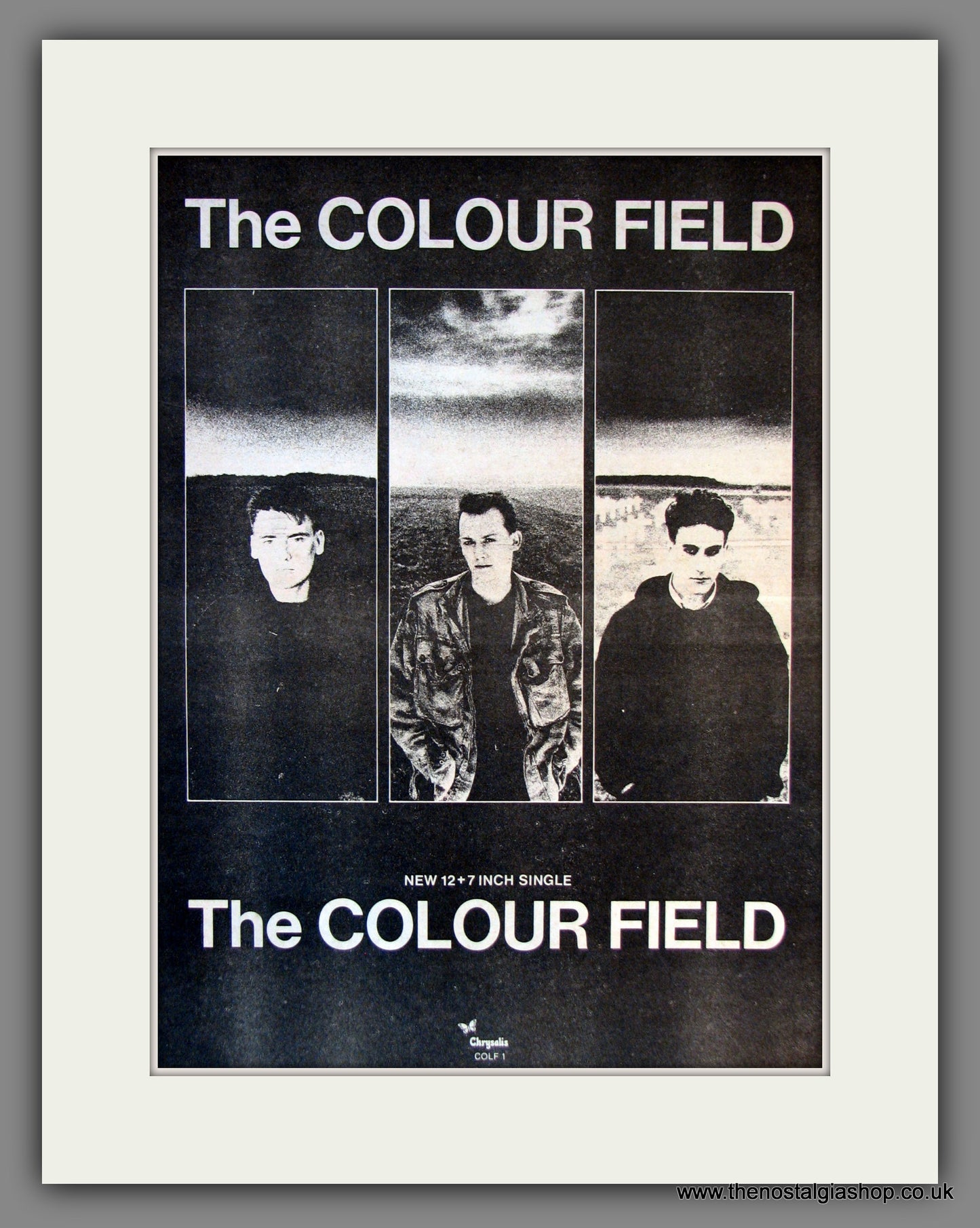 Colour Field (The). Original Advert 1984 (ref AD11786)