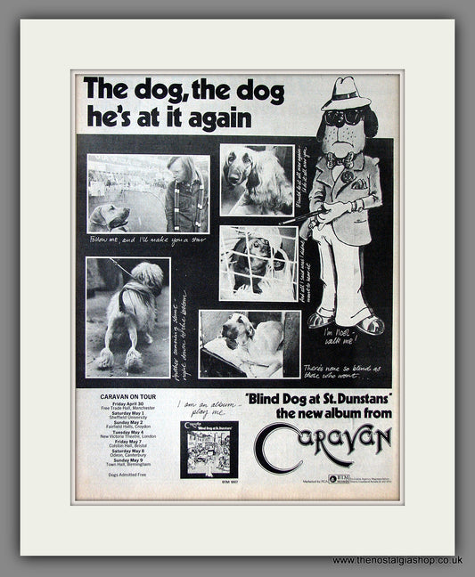 Caravan. Blind Dog At St. Dunstans'. Original Advert 1976 (ref AD11846)