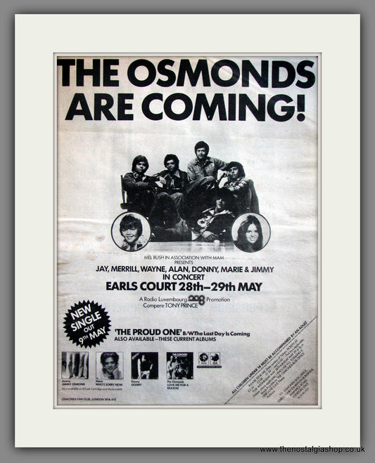 Osmonds (The) Earls Court Concert . Original Advert 1975 (ref AD11930)