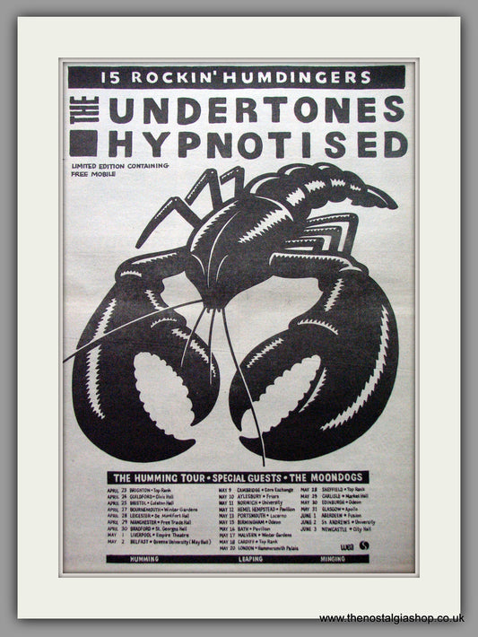 Undertones. Hypnotised. Vintage Advert 1980 (ref AD9540)