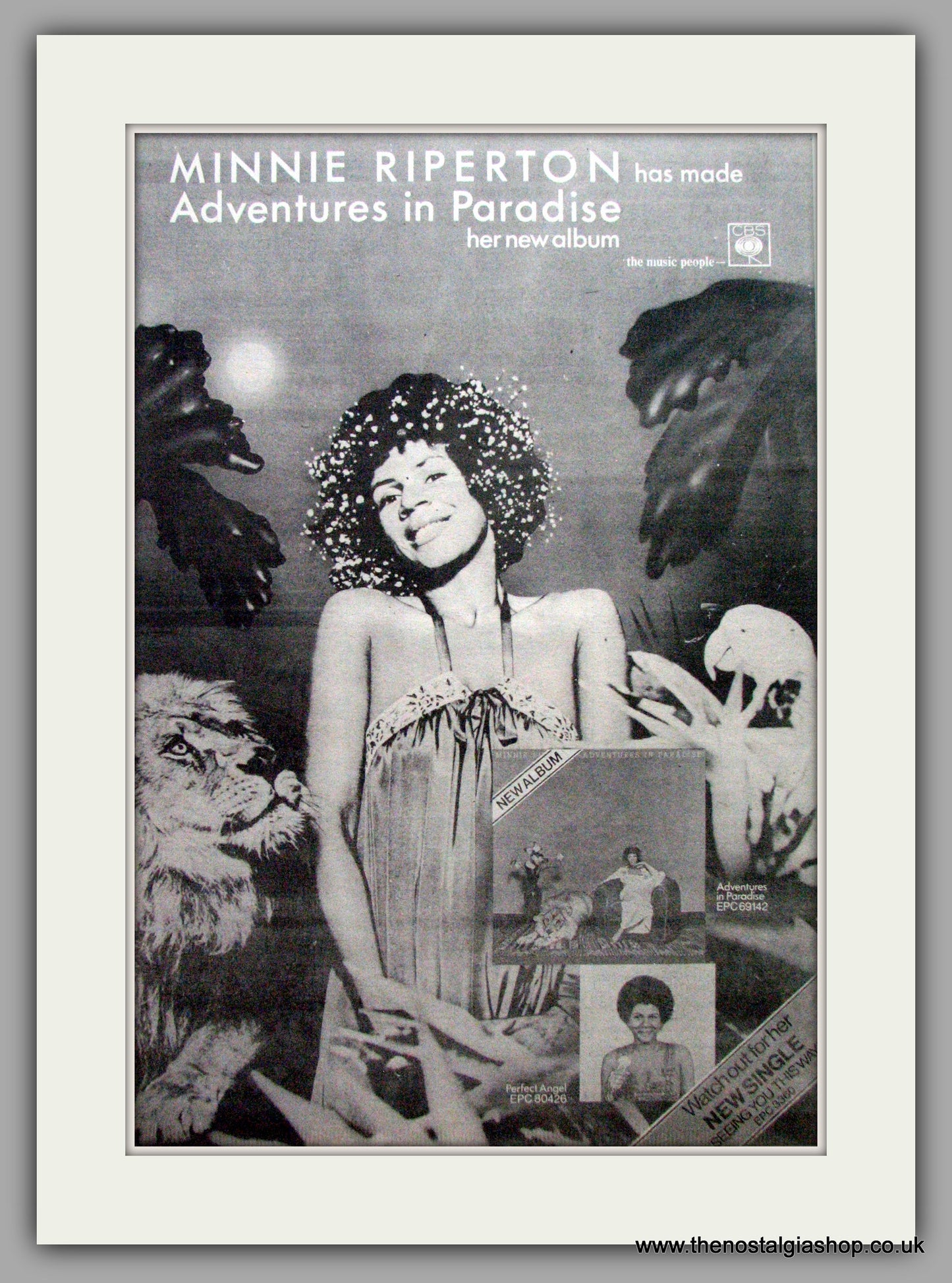 Minnie Riperton. Adventures in Paradise. Vintage Advert 1975 (ref