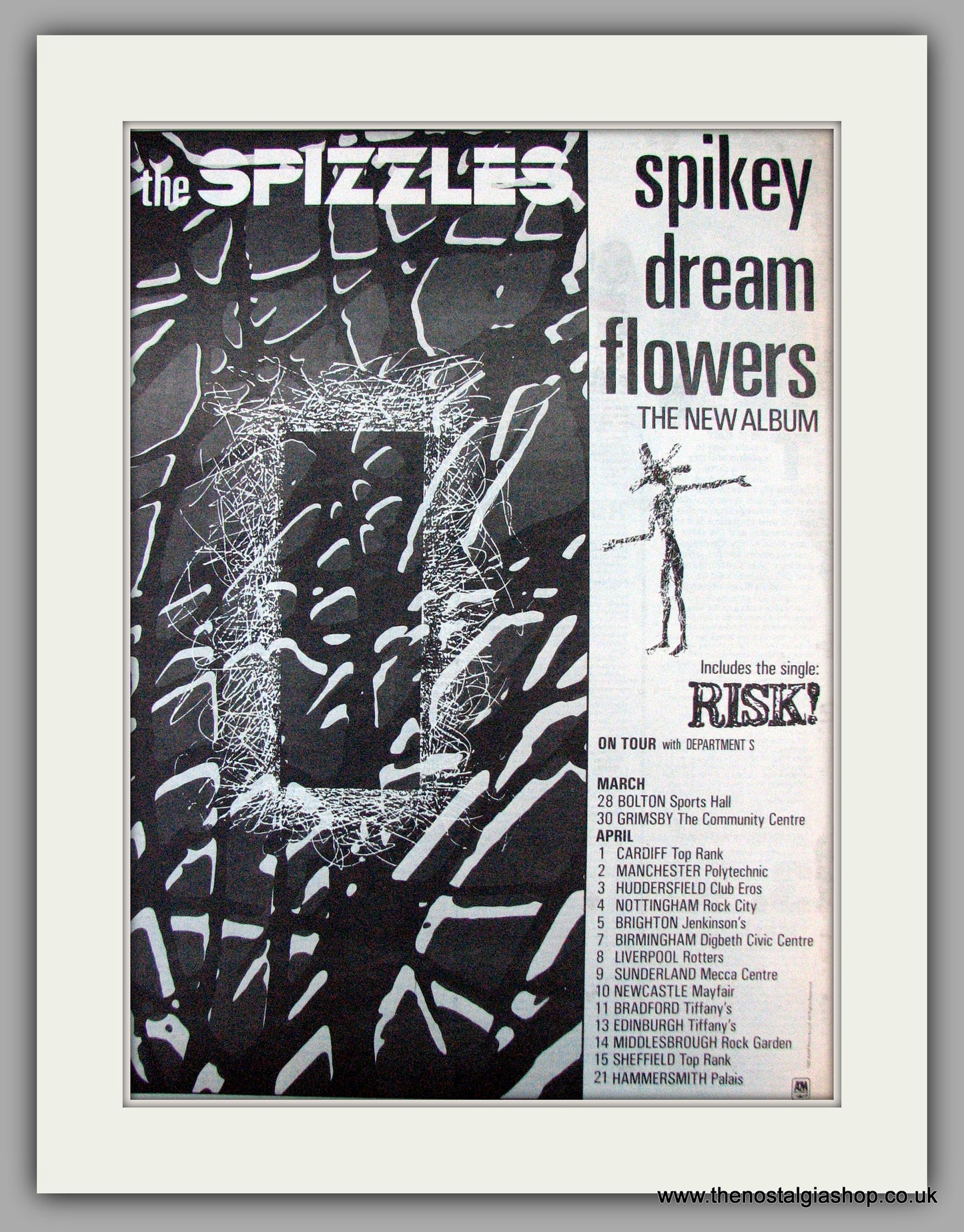 Spizzles (The) Spikey Dream Flowers. Vintage Advert 1981 (ref AD9804)