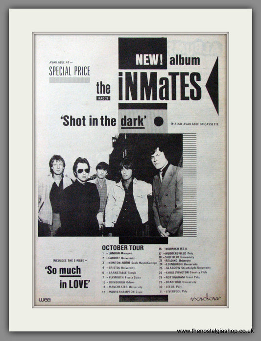 Inmates (The) Shot In The Dark. Original Advert 1980 (ref AD12124)