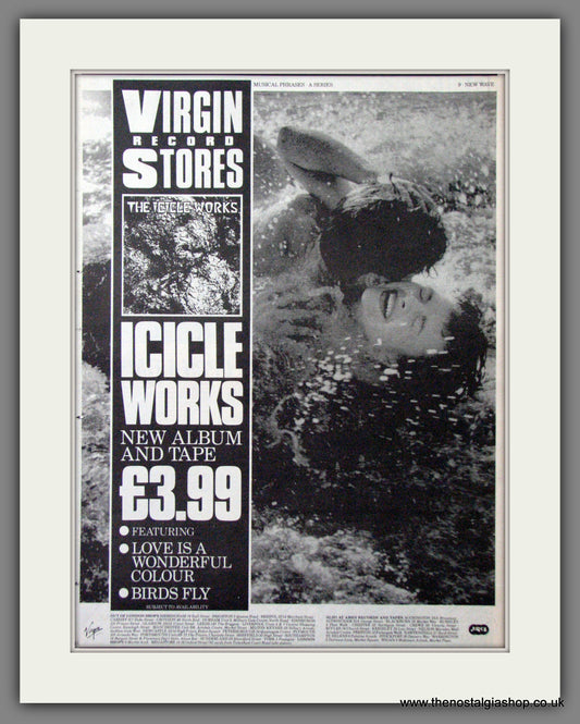 Icicle Works. Original Advert 1984 (ref AD12152)