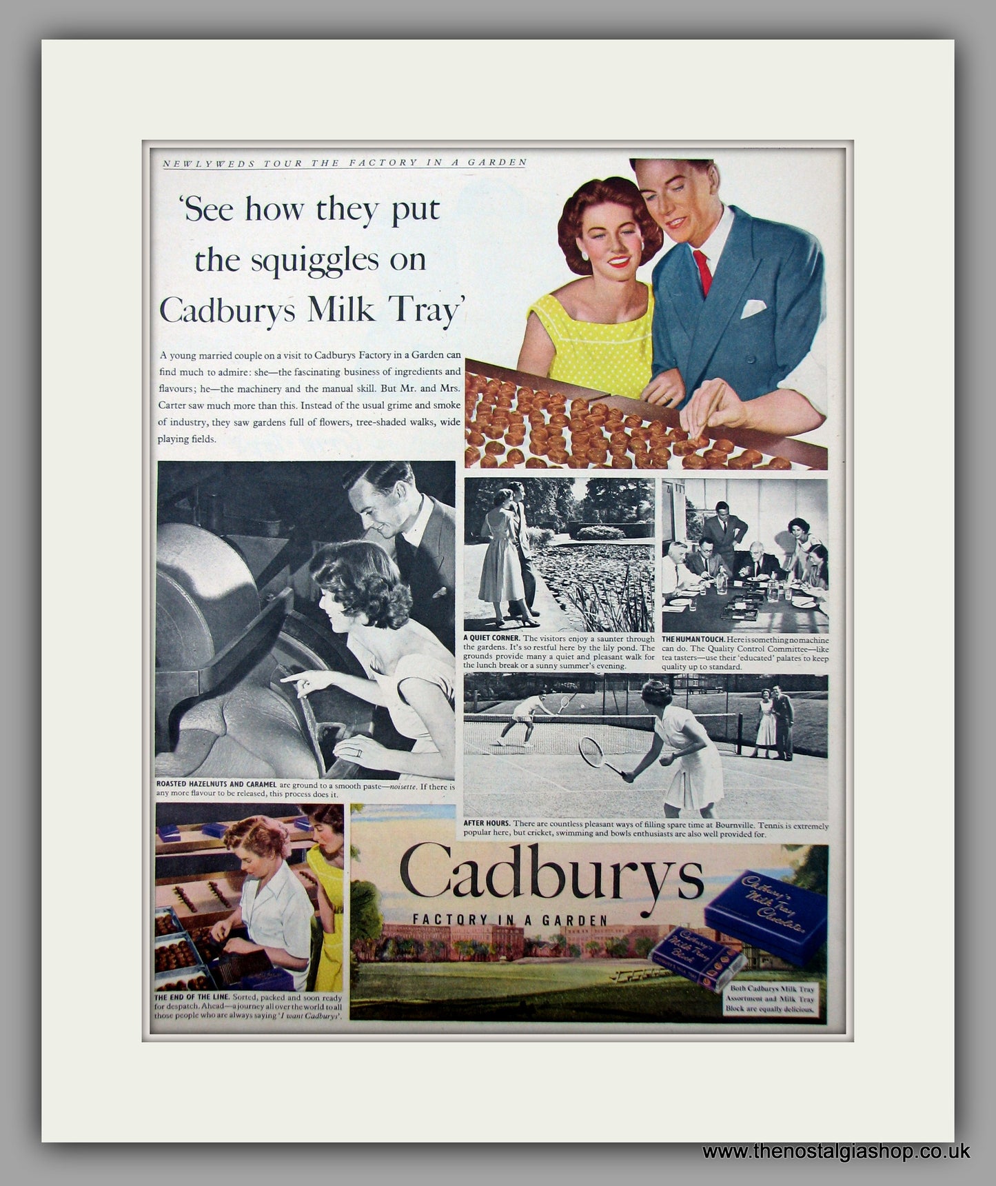 Cadburys Milk Tray Chocolate . Original Advert 1954 (ref AD9951)