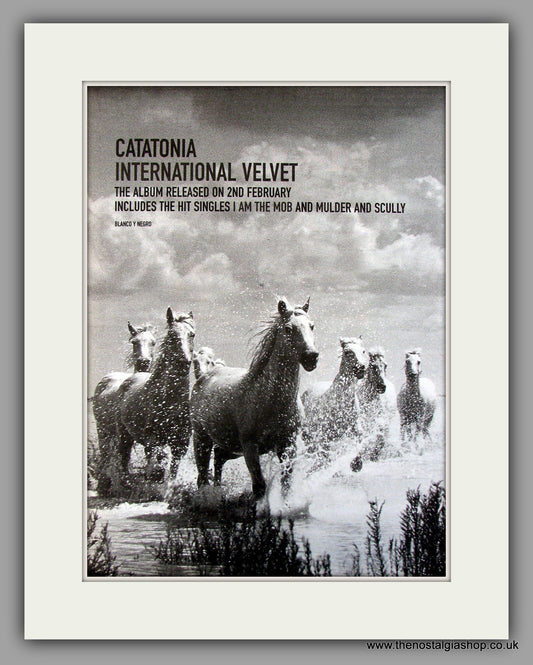 Catatonia International Velvet.  Original Vintage Advert 1998 (ref AD10134)