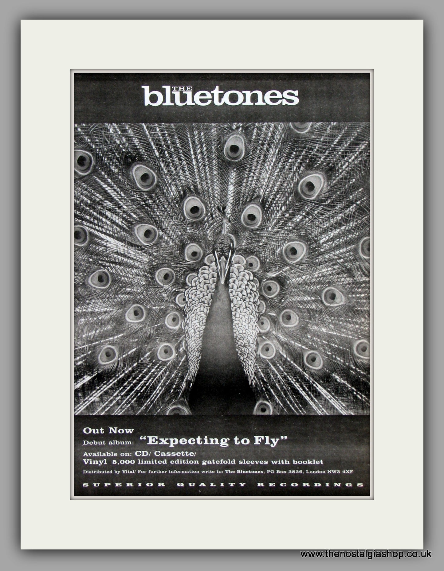 Bluetones (The) Expecting To Fly.  Original Vintage Advert 1996 (ref AD10177)