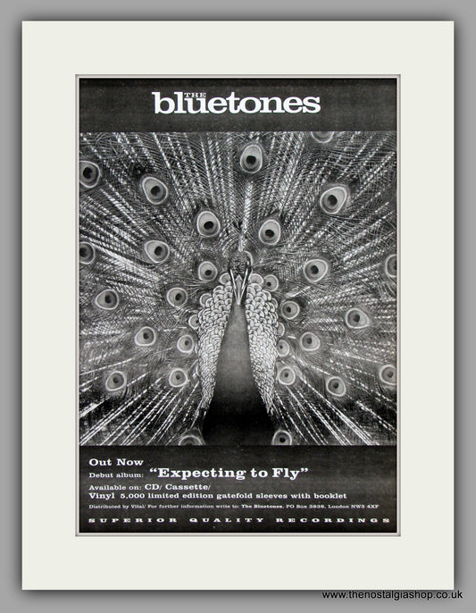 Bluetones (The) Expecting To Fly.  Original Vintage Advert 1996 (ref AD10177)