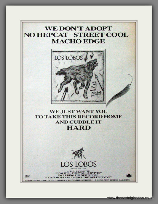 Los Lobos How Will The Wolf Survive. Original Advert 1985 (ref AD12677)