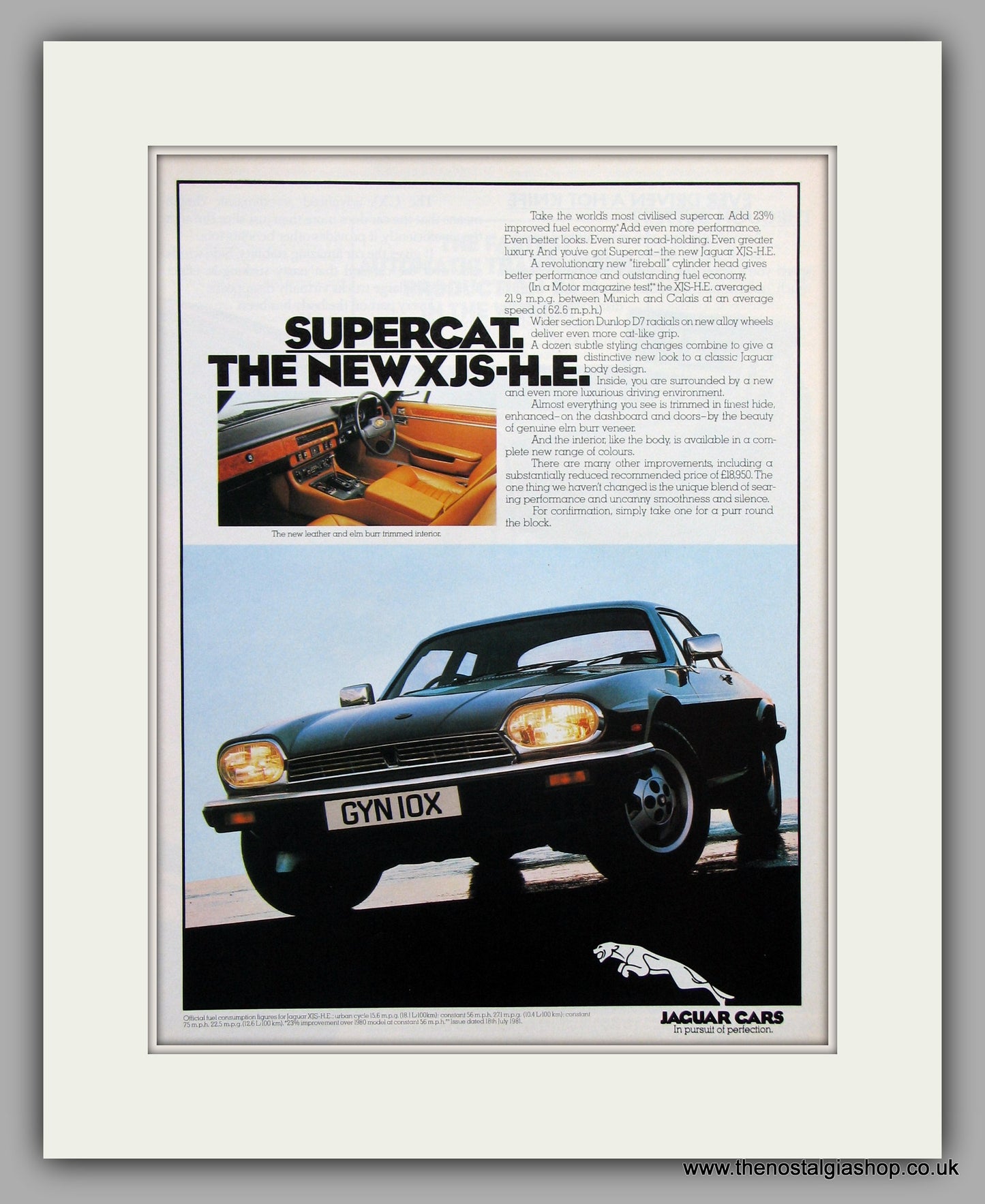 Jaguar XJ-S H.E. 1981. Vintage Advert (ref AD7719)