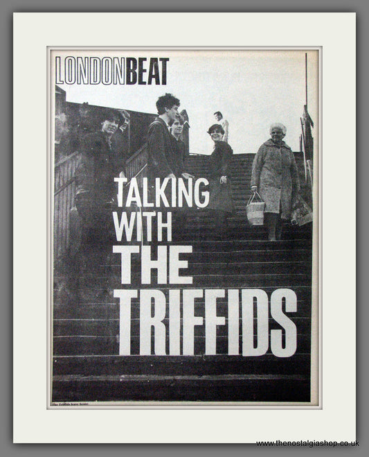 London Beat Talking With The Triffids. Original Advert 1985 (ref AD12724)