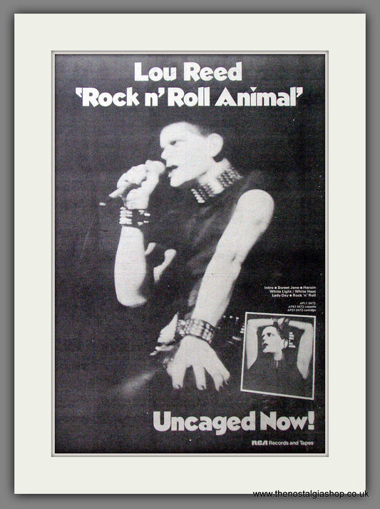 Lou Reed Rock And Roll Animal. Original Advert 1974 (ref AD12747)