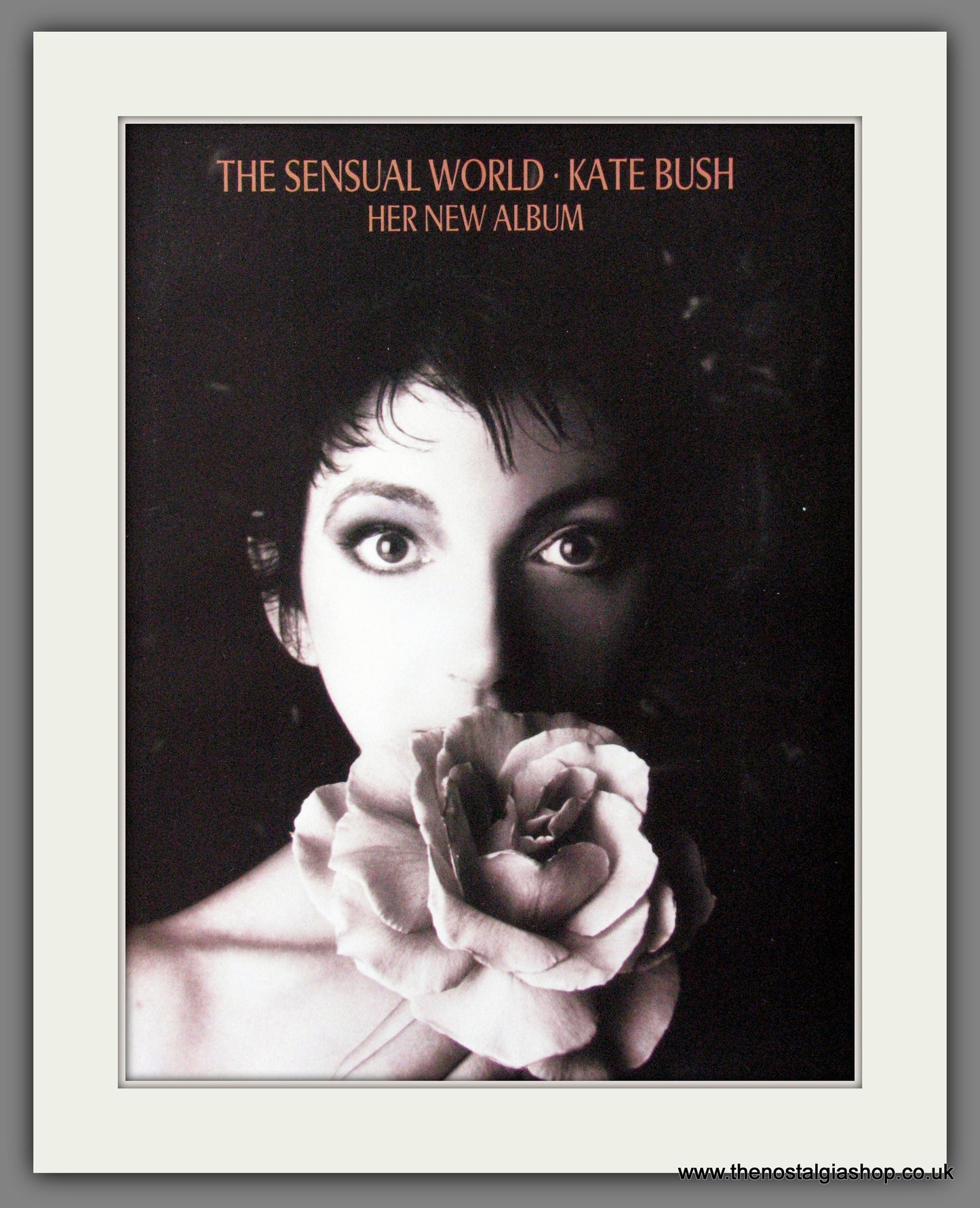 Kate Bush. The Sensual World. 1989 Original Advert (ref AD55099)