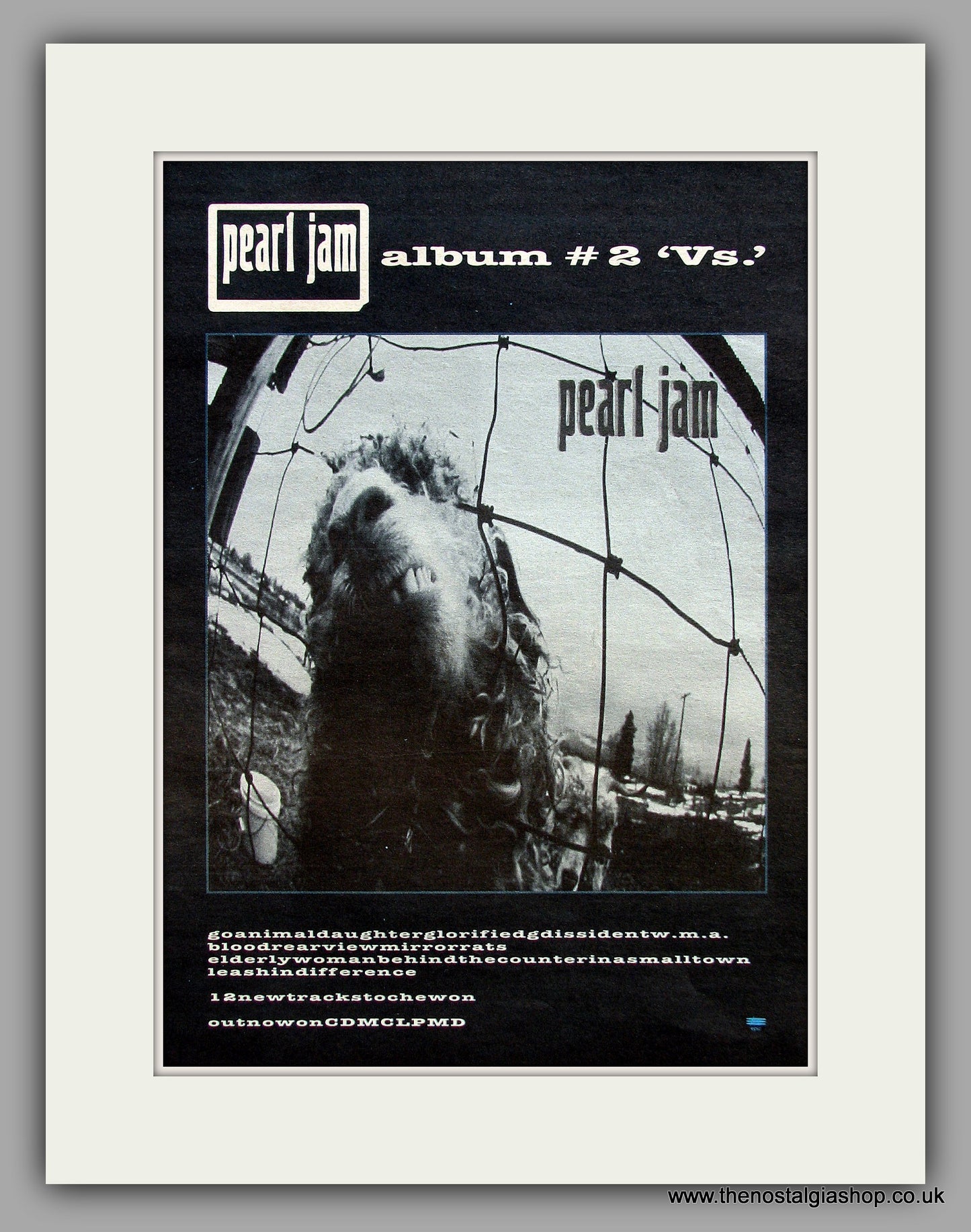 Pearl Jam Vs. Original Vintage Advert 1993 (ref AD10297)