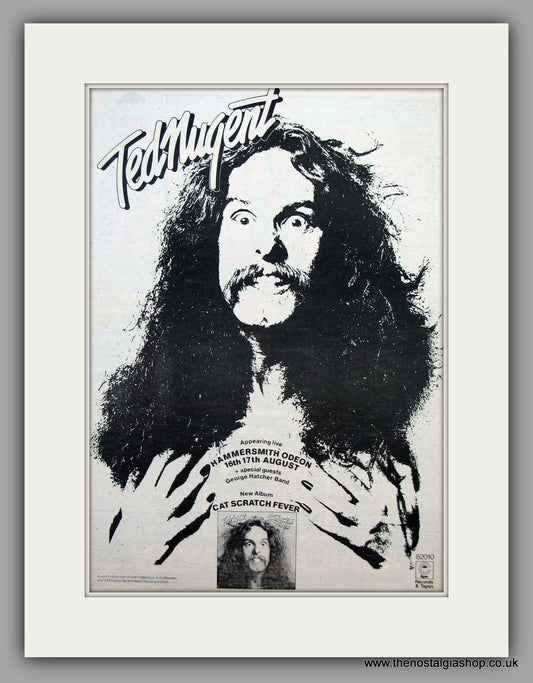 Ted Nugent Cat Scratch Fever. Original Advert 1977 (ref AD10463)