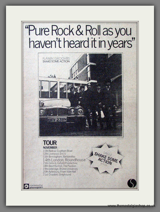 Flamin' Groovies Shake Some Action. Original Advert 1976 (ref AD13053)