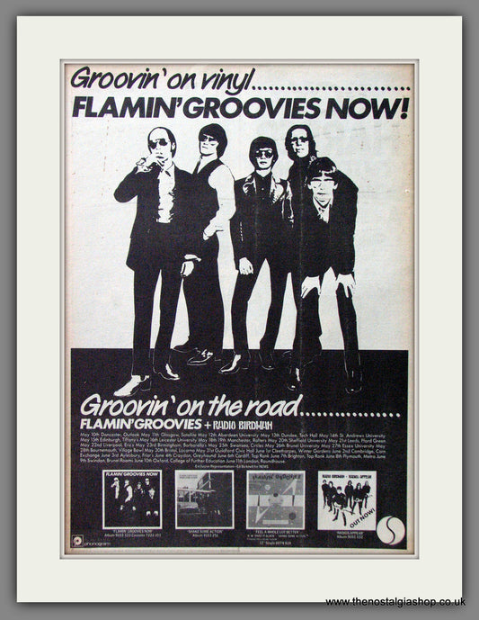 Flamin' Groovies Tour Dates. Original Advert 1978 (ref AD13054)