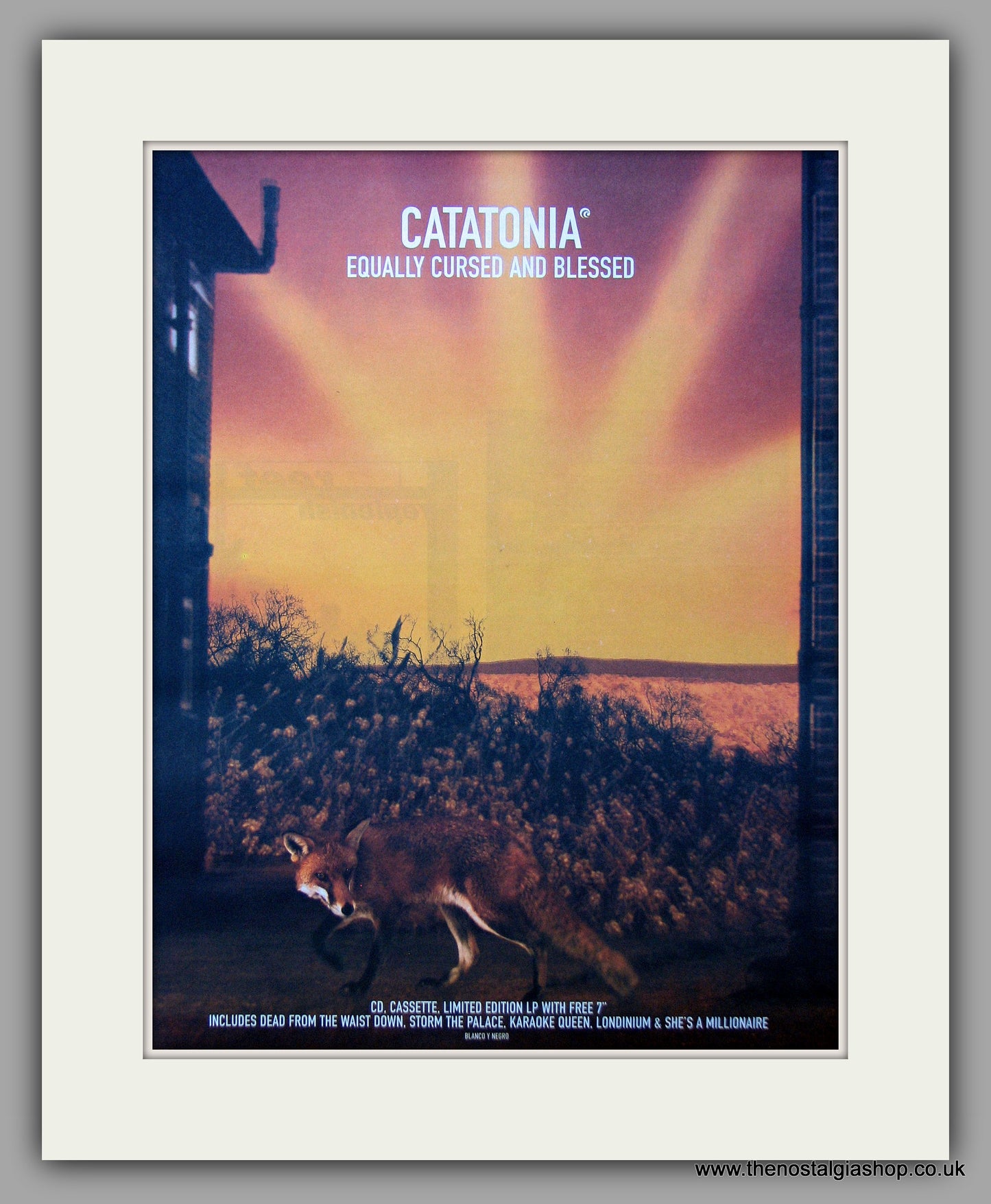 Catatonia - Equally Cursed And Blessed.  Original Vintage Advert 1999 (ref AD10671)