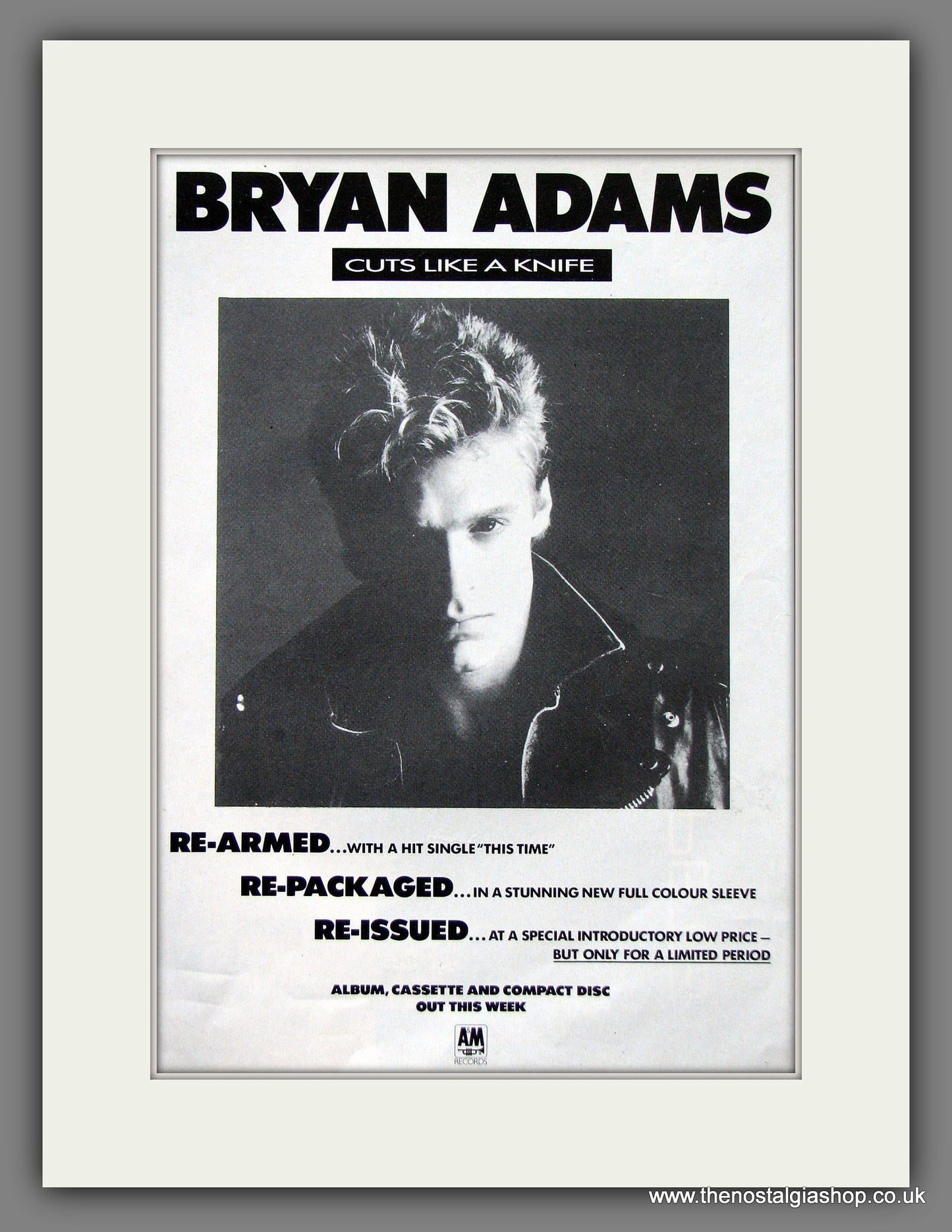 Bryan Adams Cuts like A Knife Original Music Advert 1983 (ref AD55457)