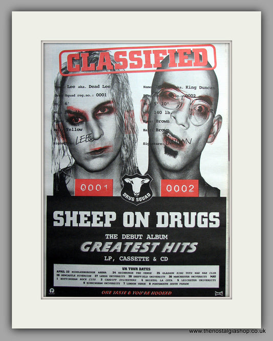 Sheep On Drugs - Debut Album Greatest Hits. Original Vintage Advert 1993 (ref AD11110)