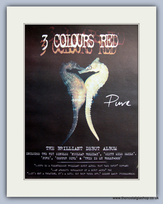 Three Colours Red - Pure. Original Vintage Advert 1997 (ref AD11129)