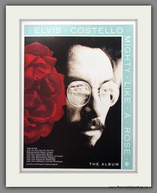 Elvis Costello - Mighty Like A Rose. Original Advert 1991 (ref AD50206)