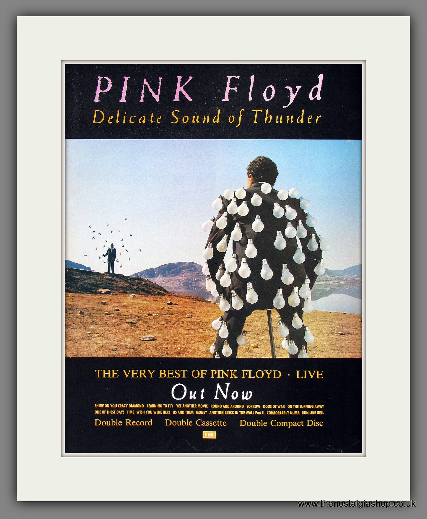 Pink Floyd. Delicate Sound Of Thunder. Original Music Advert 1989 (ref AD55793)