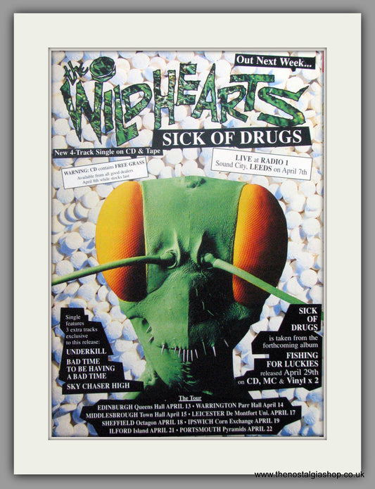 Wildhearts. Sick Of Drugs. 1994 Original Advert (ref AD51008)