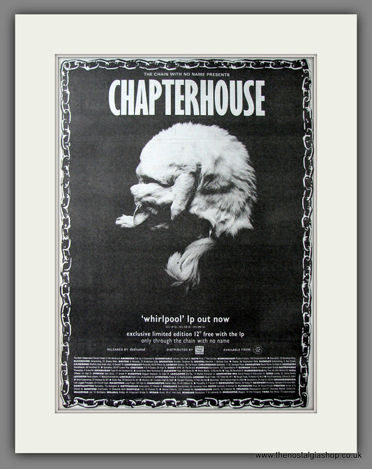 Chapterhouse Whirlpool. Original Advert 1991 (ref AD13519)