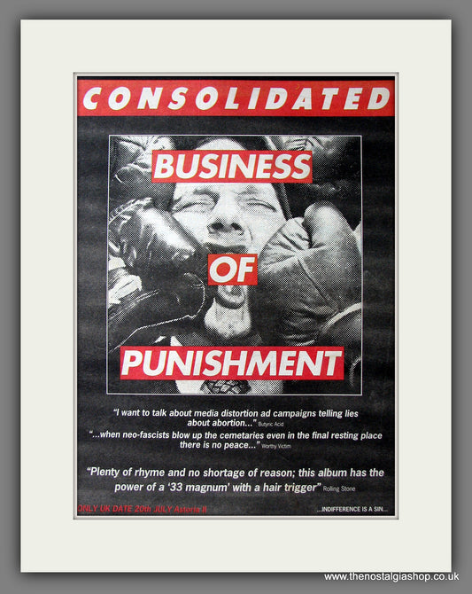 Consolidated Business Of Punishment. Original Advert 1994 (ref AD13520)