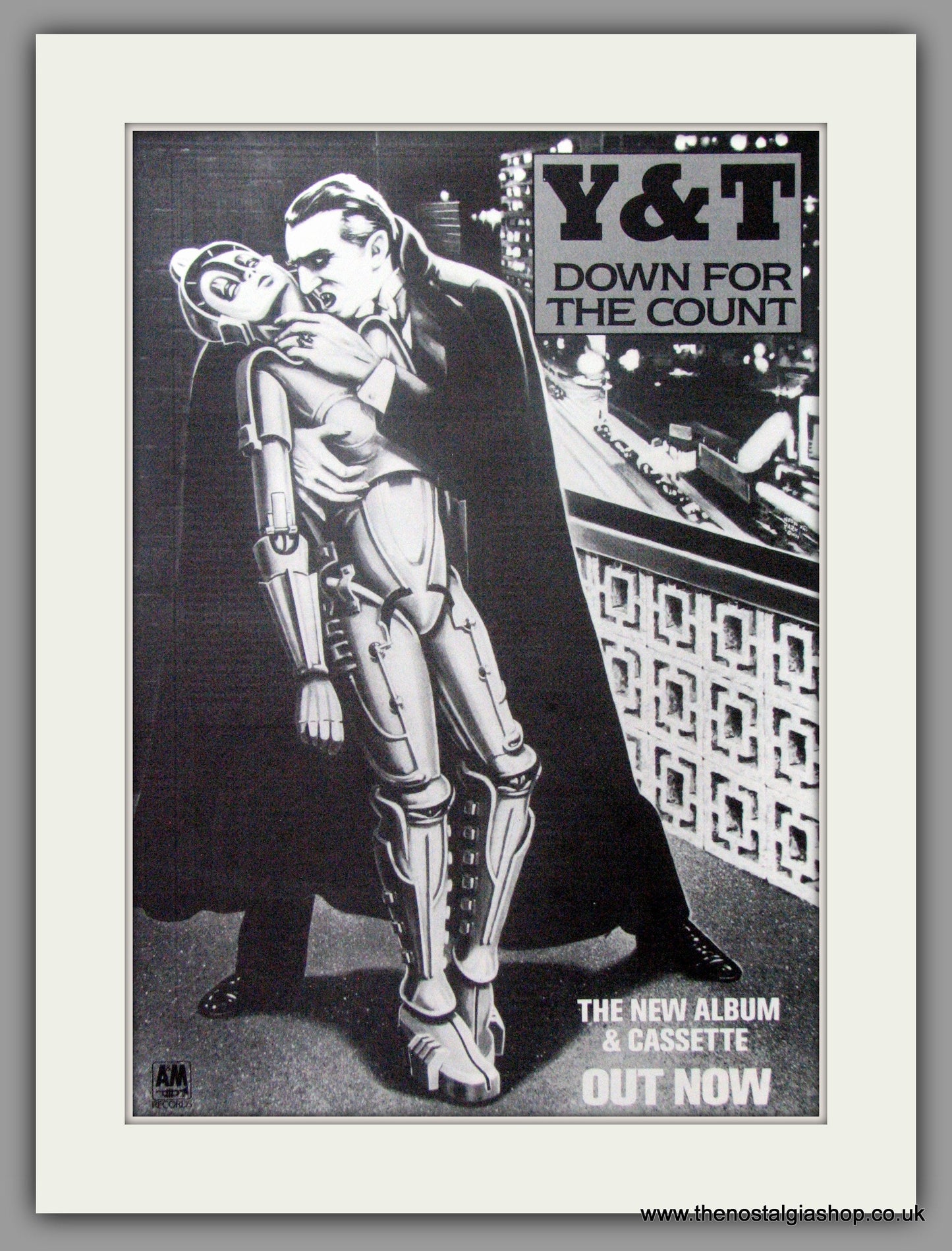 Y & T Down For The Count. 1985 Large Original Advert (ref AD15054)