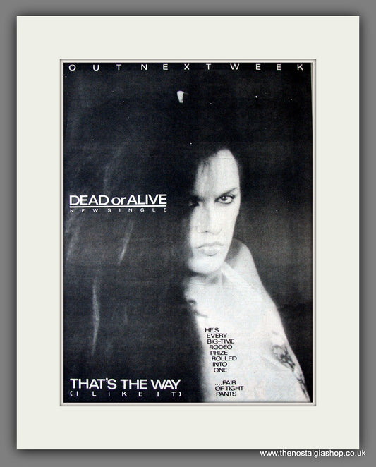 Dead Or Alive. That's The Way I Like It. Original Advert 1984 (ref AD13682)