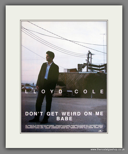 Lloyd Cole Don't Get Weird On Me Babe. Original Vintage Advert 1991 (ref AD56195)