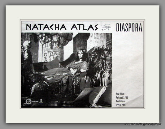 Natacha Atlas. Diaspora. 1995 Original Advert (ref AD51308)