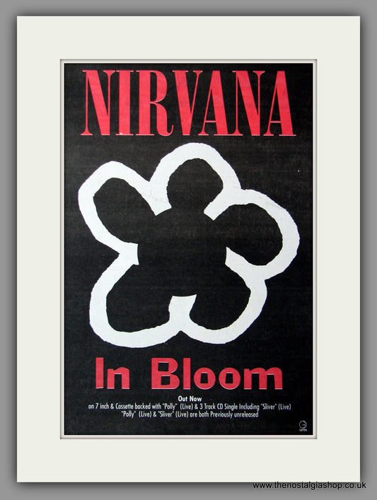 Nirvana. In Bloom. 1992 Original Advert (ref AD51352)