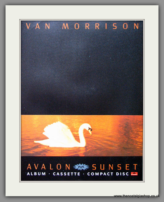 Van Morrison. Avalon Sunset. Original Advert 1989 (ref AD53336)