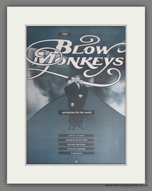 Blow Monkeys. Springtime For The World. Vintage Advert 1990 (ref AD13998)