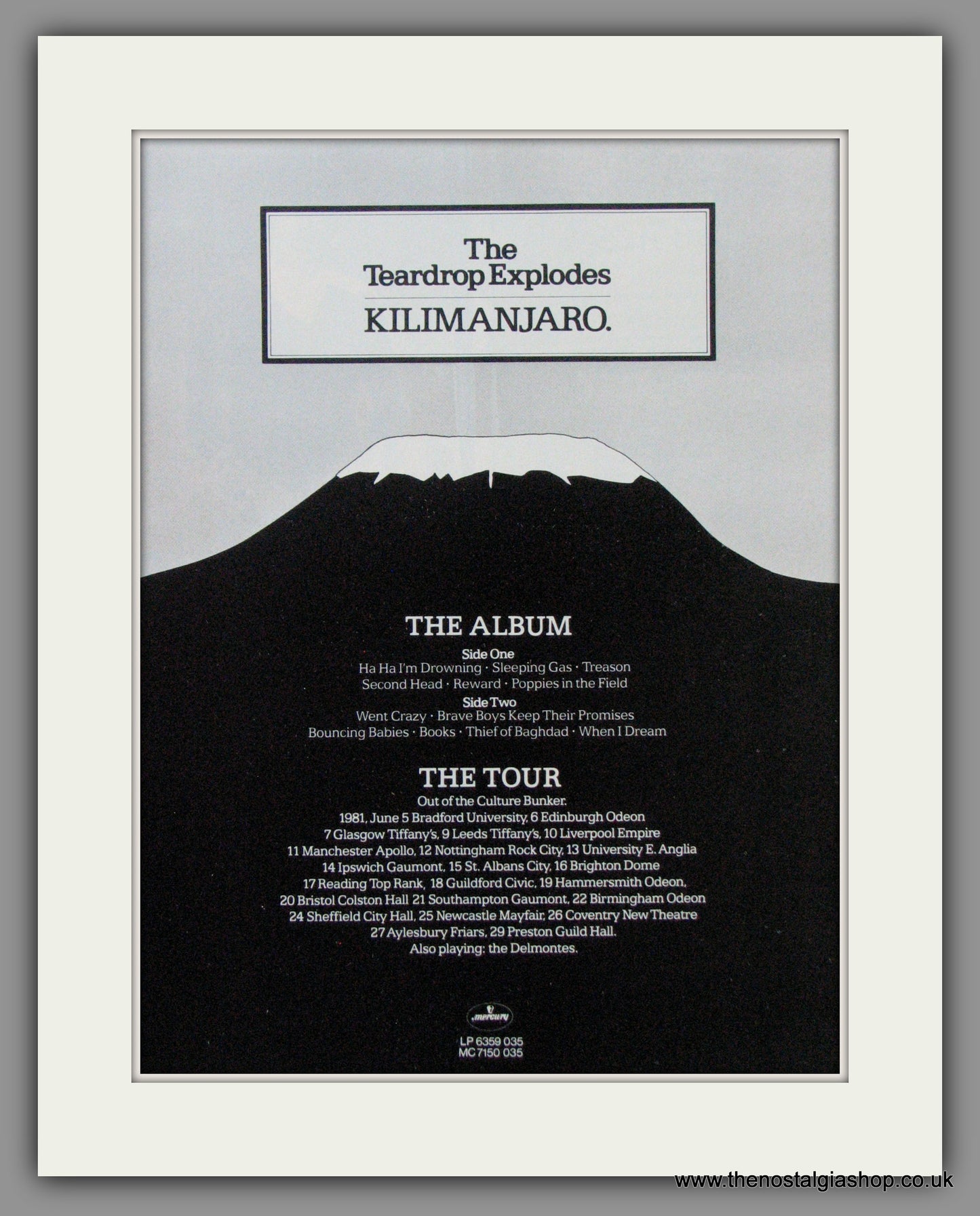 Teardrop Explodes (The). Kilimanjaro. Original Advert 1980 (Ref AD52561)