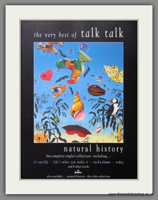 Talk Talk. Natural History. Original Advert 1990 (Ref AD52626)