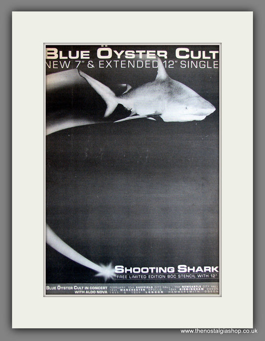 Blue Oyster Cult Shooting Shark. Vintage Advert 1984 (ref AD14088)