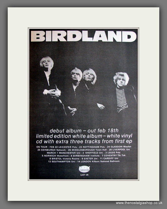 Birdland Debut Album. Vintage Advert 1991 (ref AD14101)