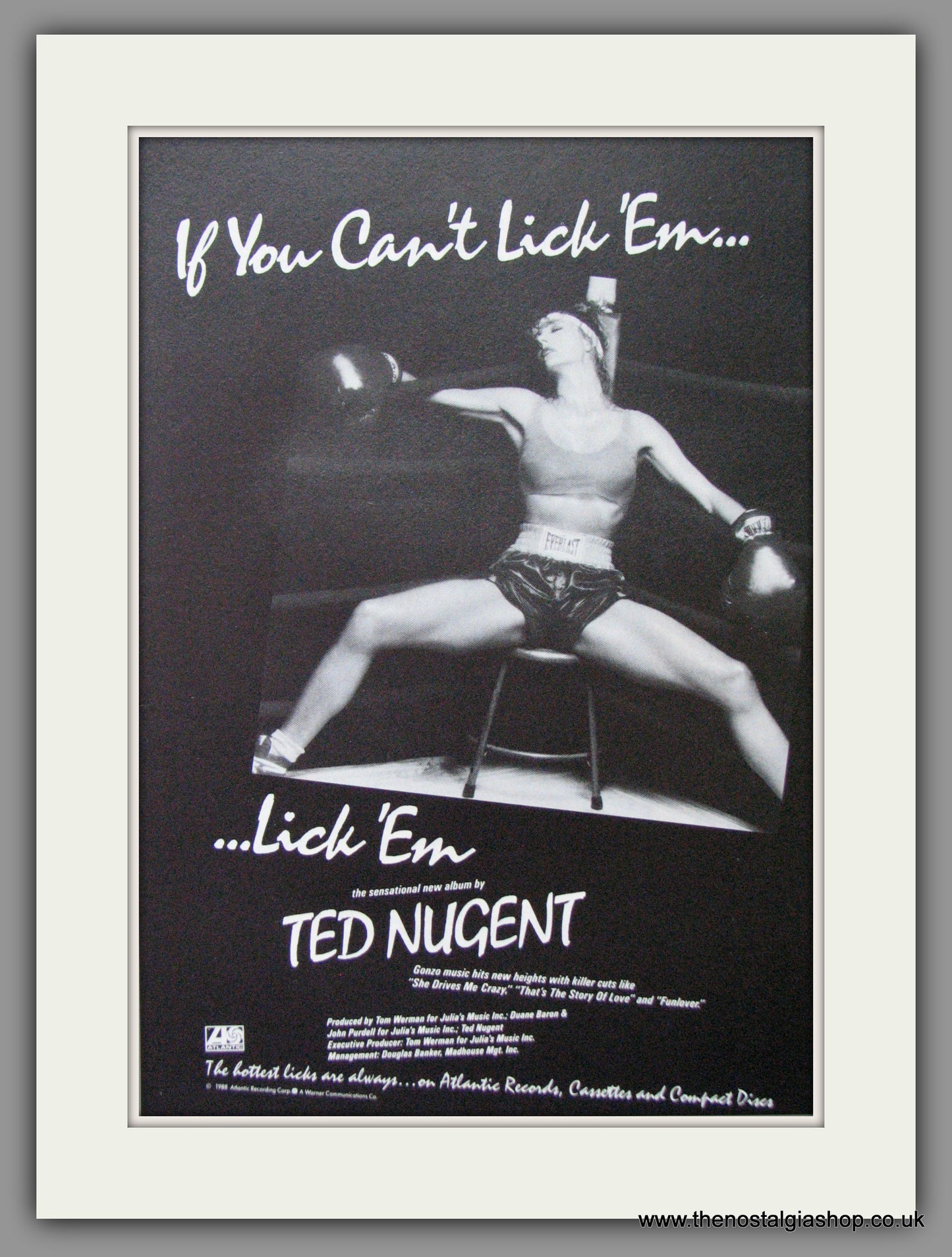 Ted Nugent, If You Can't Lick Em...Lick Em. 1988 Original Advert (ref AD53005)