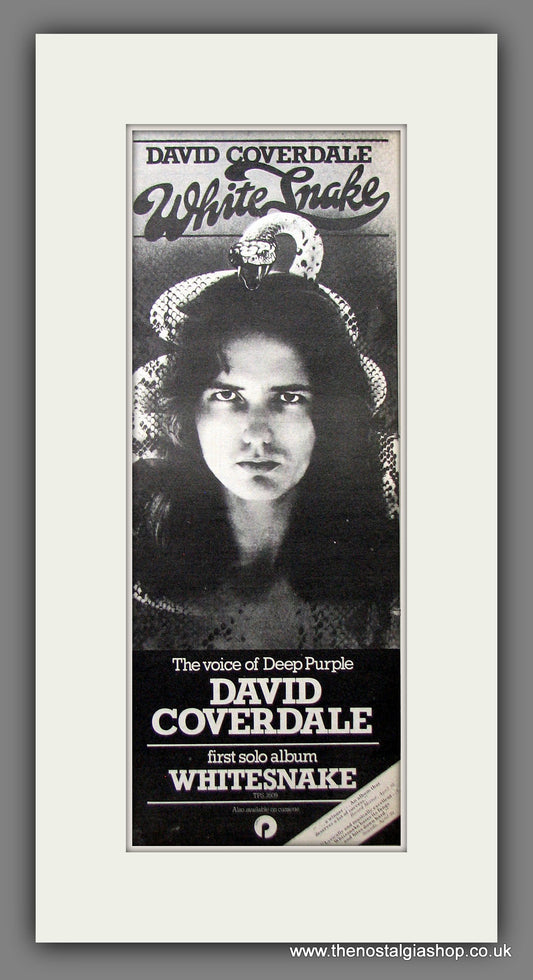 David Coverdale White Snake. Original Advert 1977 (ref AD200267)