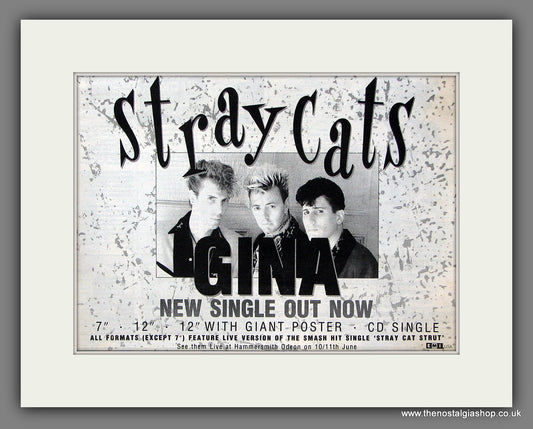 Stray Cats. Gina. Original Vintage Advert 1989 (ref AD56362)