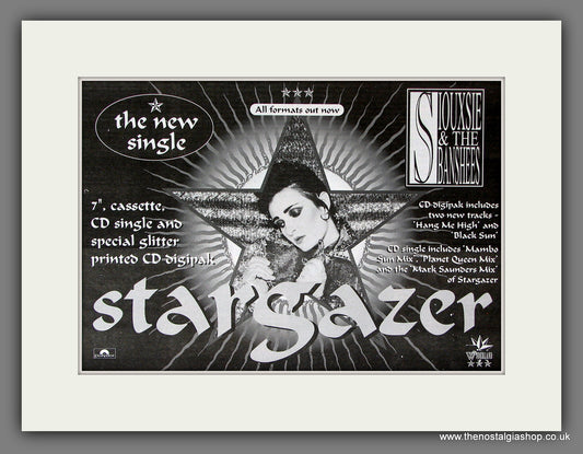 Siouxsie And The Banshees Star Gazer. Original Vintage Advert 1995 (ref AD56380)