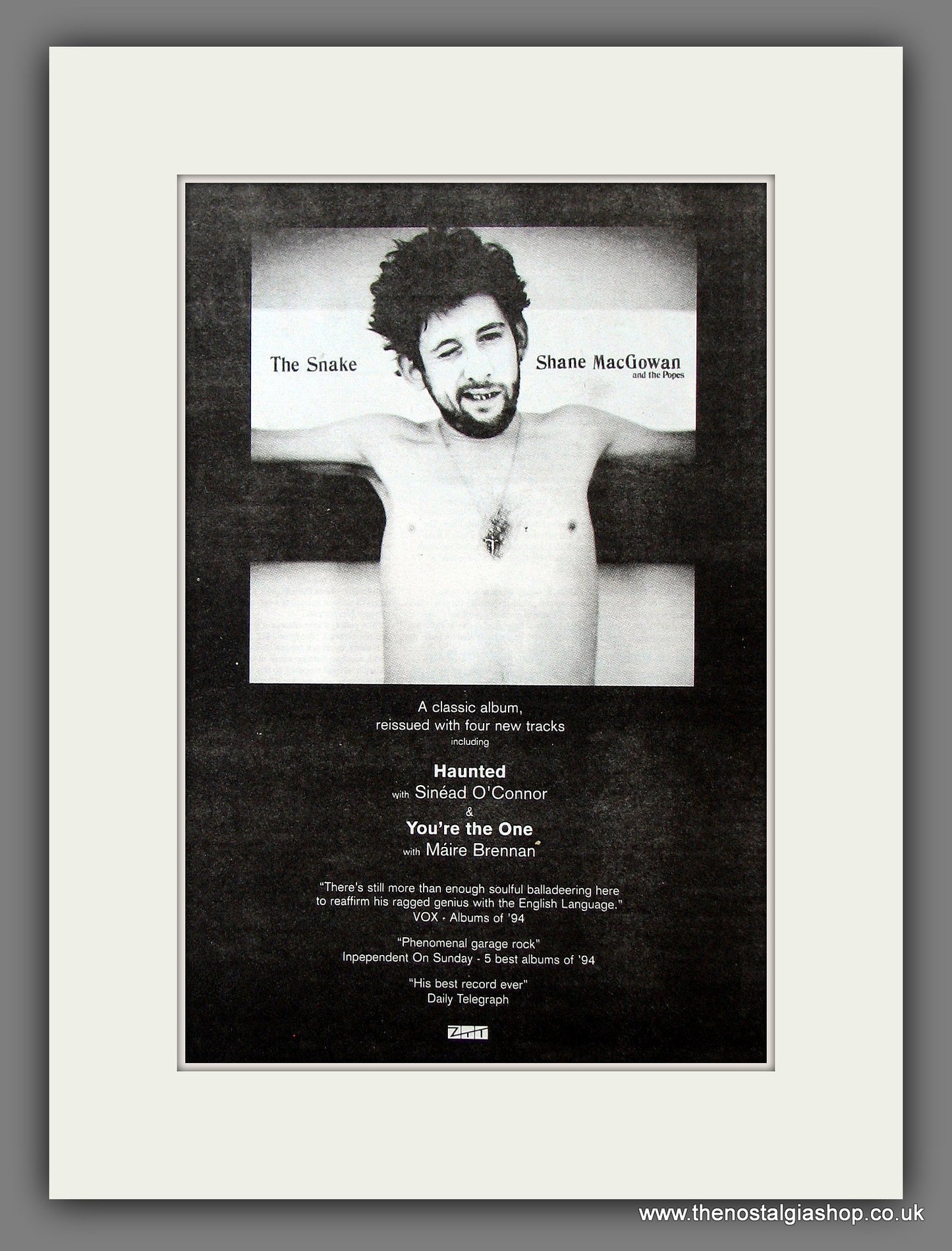 Shane MacGowan The Snake. Original Vintage Advert 1995 (ref AD56408)