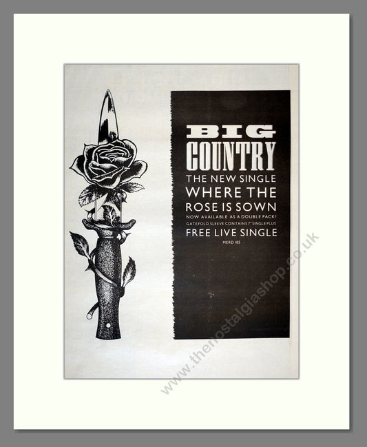 Big Country - Where The Rose Is Sown. Vintage Advert 1984 (ref AD17269)