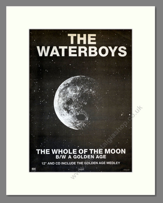 Waterboys (The) - The Whole Of The Moon. Vintage Advert 1991 (ref AD17401)