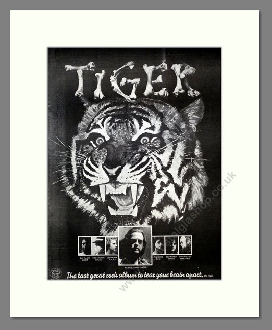 Tiger - Self Titled. Vintage Advert 1976 (ref AD17537)